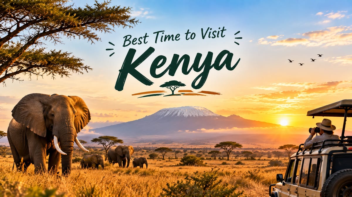 Best Time to Visit Kenya: Safari, Great Migration & Month-by-Month Guide (2026)