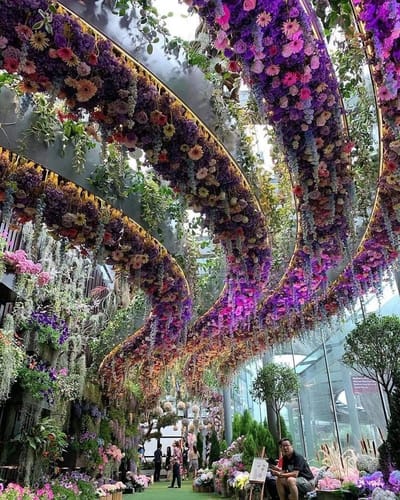 Flower Dome, Gardens by the Bay