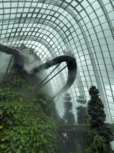 Cloud Forest at Gardens by the Bay