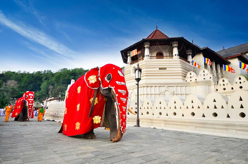 Heritage & Coastline – Sri Lanka